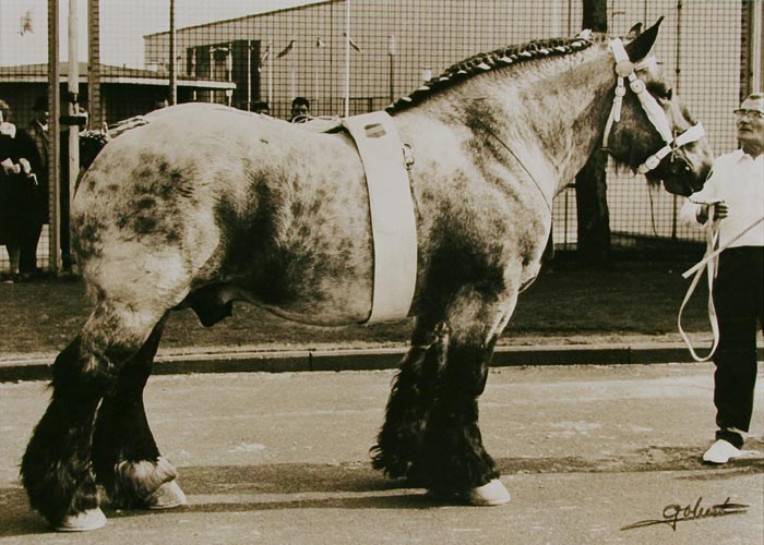 slider historiek